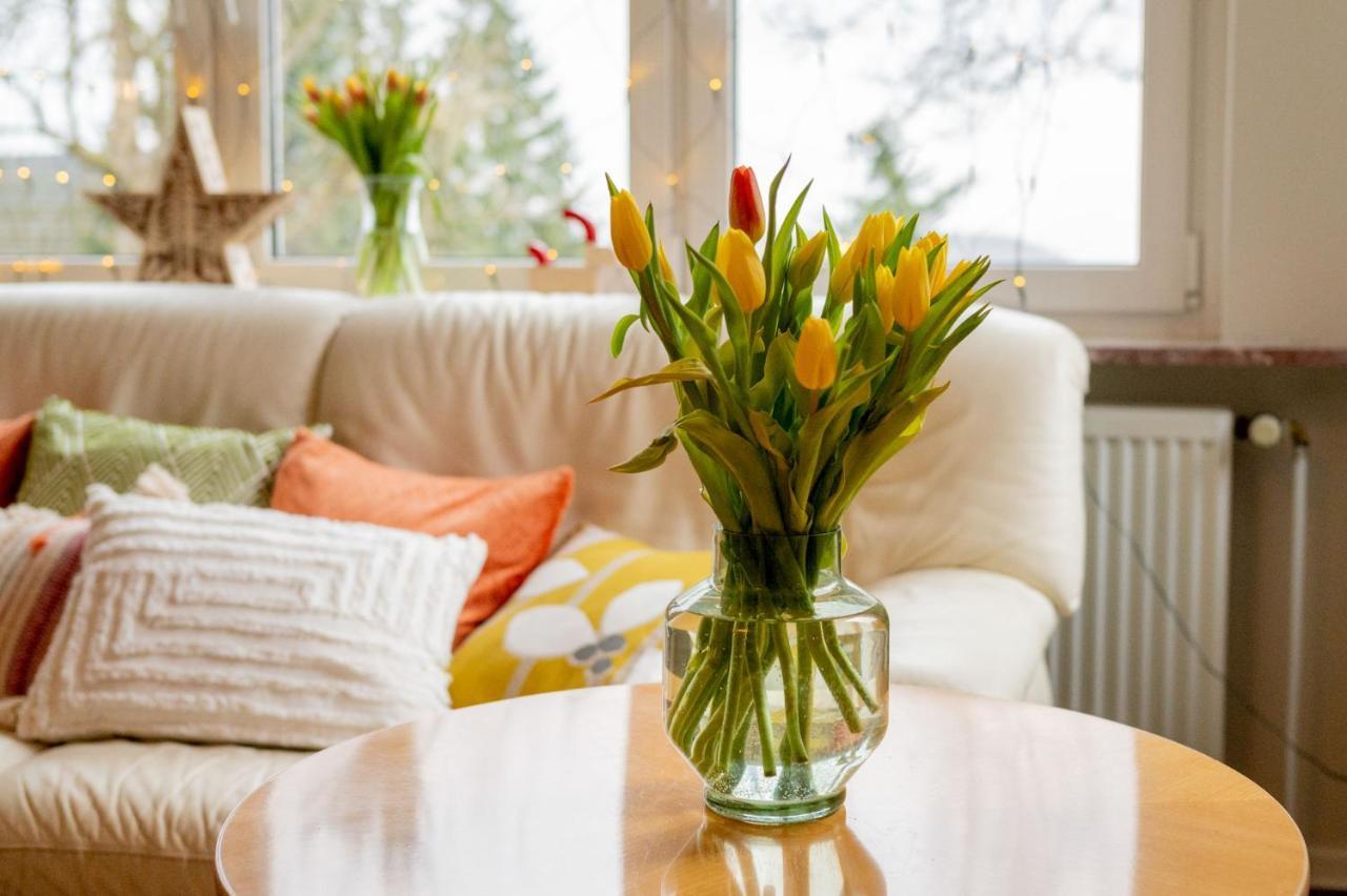 Chalet627 Braunlage Dış mekan fotoğraf