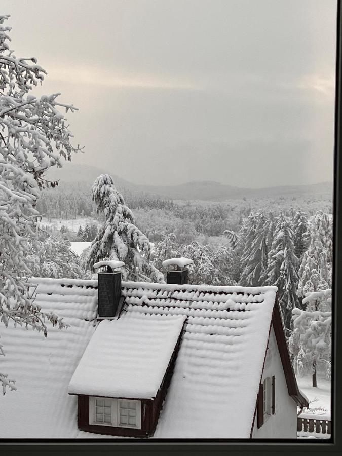 Chalet627 Braunlage Dış mekan fotoğraf