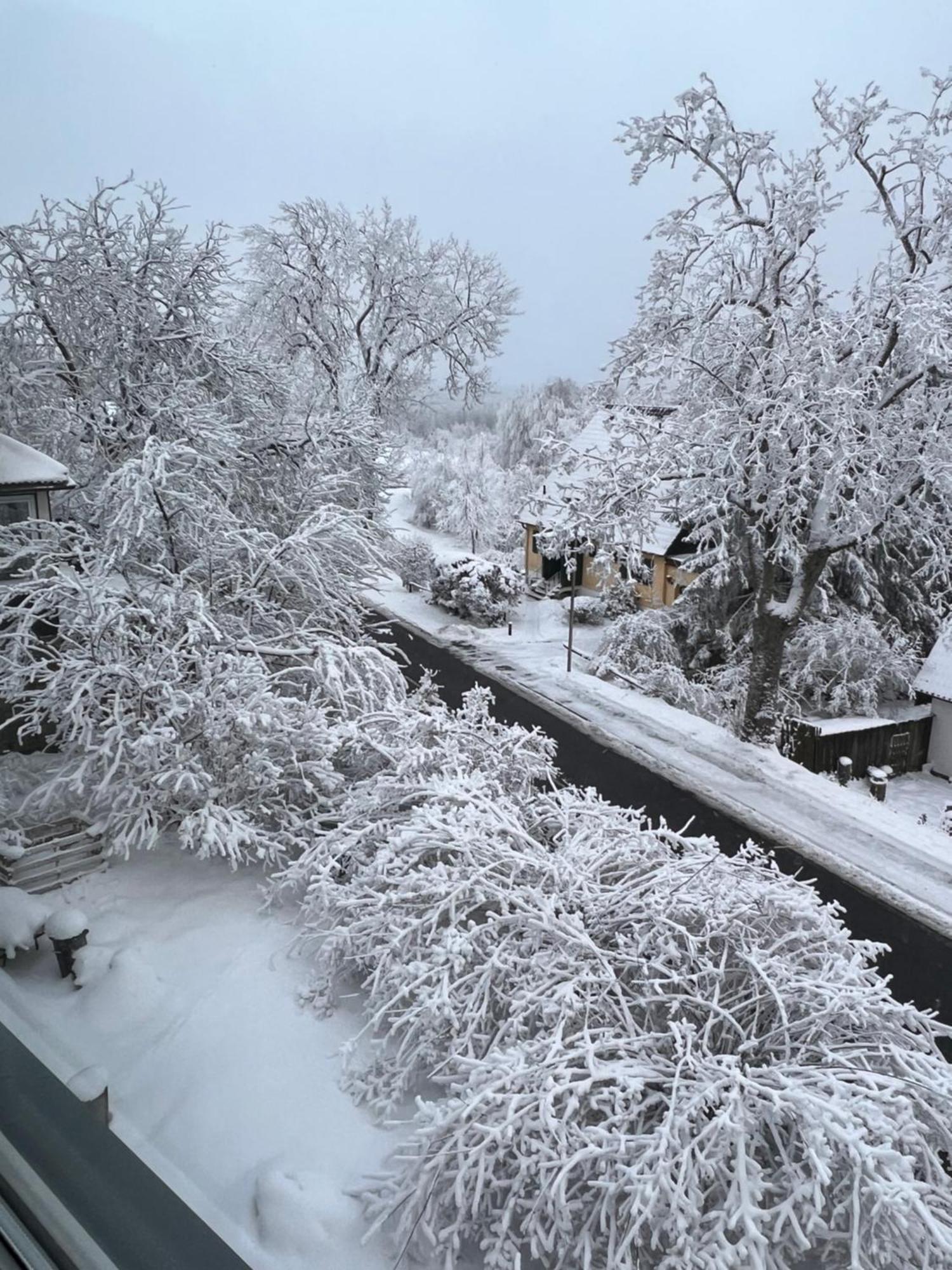 Chalet627 Braunlage Dış mekan fotoğraf