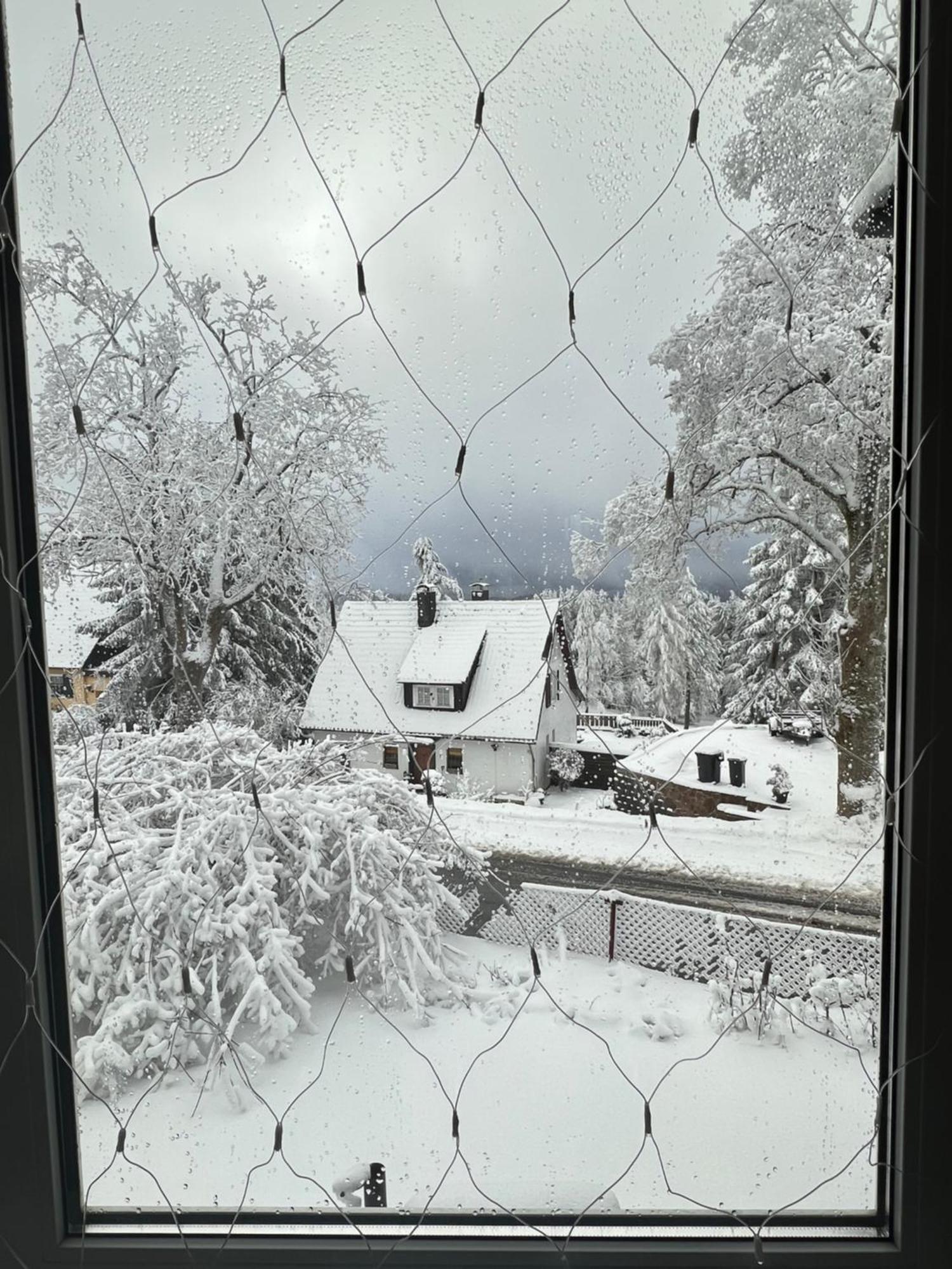 Chalet627 Braunlage Dış mekan fotoğraf